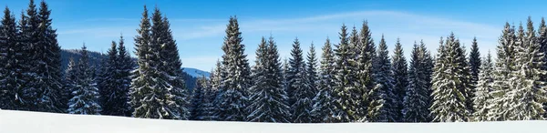 Inverno Natura paesaggio innevato sfondo esterno . — Foto Stock