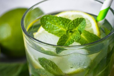 Gelenek yaz içki mojito