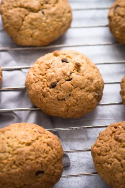 Bisküvi yulaf ve çikolata damla ile. Yukarıdan görüntülemek
