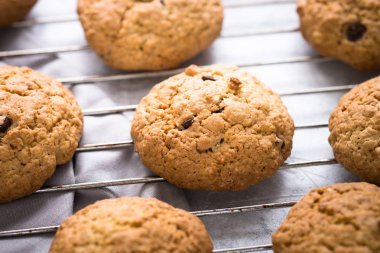 Bisküvi yulaf ve çikolata damla ile. Yukarıdan görüntülemek