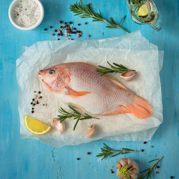 Fresh raw fish tilapia. — Stock Photo, Image