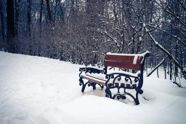 Invierno Naturaleza nevado paisaje fondo al aire libre . — Foto de Stock