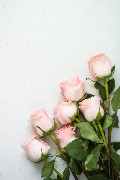 Różowa Róża biały kamień stole. — Zdjęcie stockowe