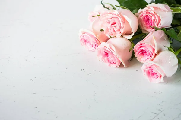 Pink rose at white stone table. — Stock Photo, Image