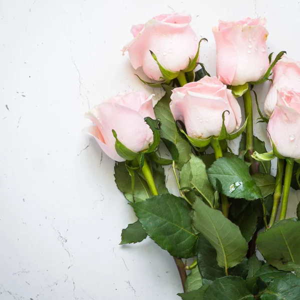 Růžové růže na bílé kamenný stůl. — Stock fotografie