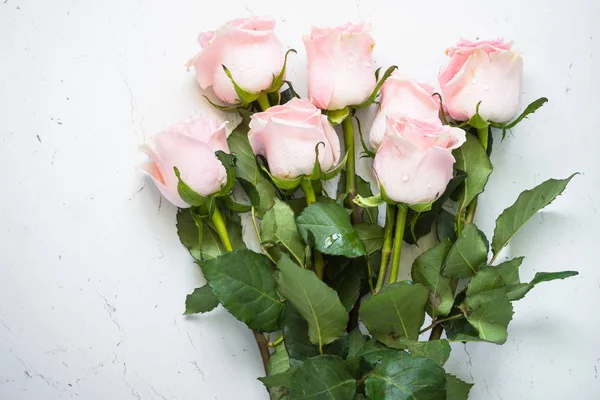 Розовая роза за белым столом . — стоковое фото
