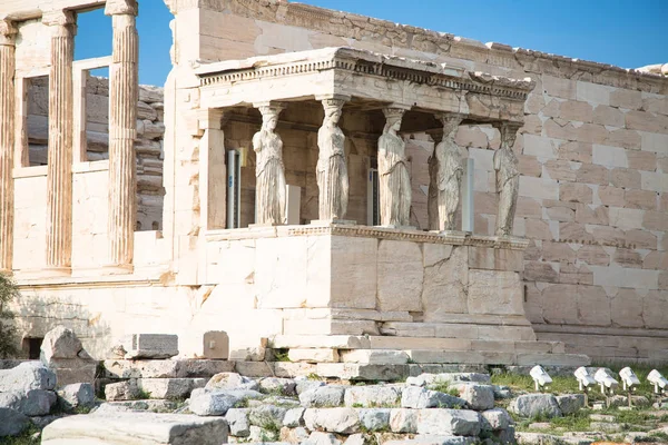 Erechtheion avec porche des Caryatides Acropole Athènes, Grèce — Photo