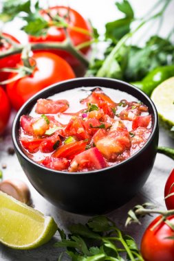 Geleneksel Latin Amerika Meksika salsa sos