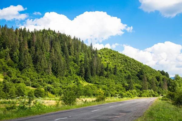 Mountain road in summer. — Stock Photo, Image