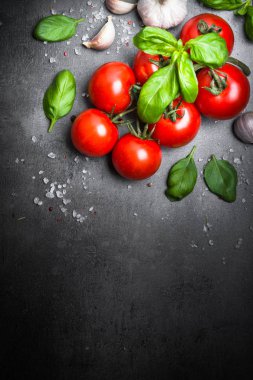 Siyah arduvaz arka plan üzerine taze domates.