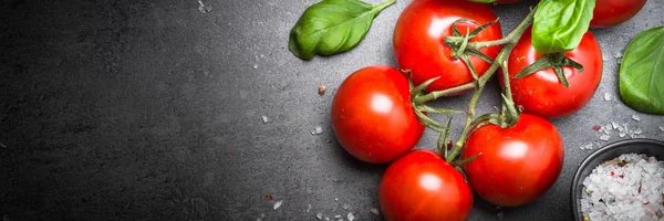 Verse tomaten op zwarte leisteen achtergrond. — Stockfoto