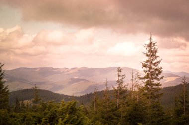 Dağların güzel manzarası. 