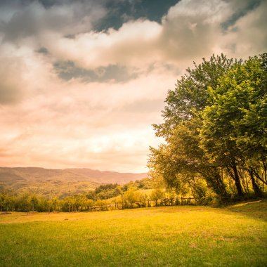 Dağlarda pastoral manzara.