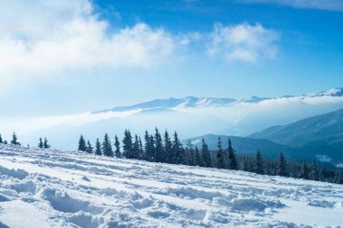 Kış Doğa karlı dağlar