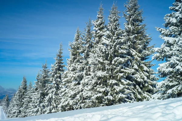 Inverno Natura paesaggio innevato sfondo esterno . — Foto Stock