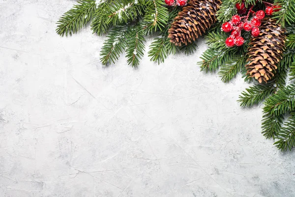 Jodła drzewo gałąź i czerwone ozdoby świąteczne — Zdjęcie stockowe