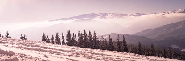 Inverno Natura montagne innevate — Foto Stock