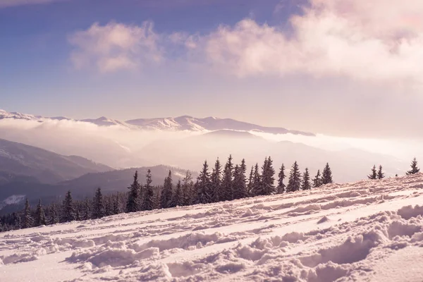 Inverno Natura montagne innevate — Foto Stock