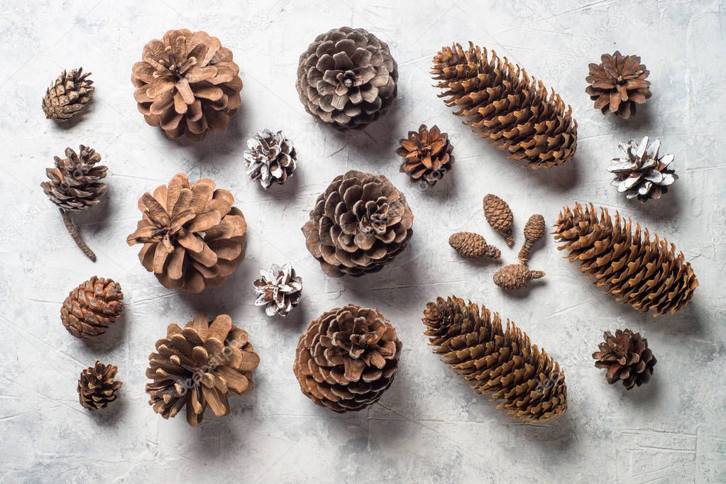 Christmas background with pine cones. 