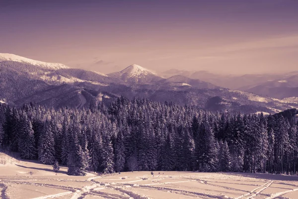 Inverno Natura paesaggio innevato sfondo esterno . — Foto Stock