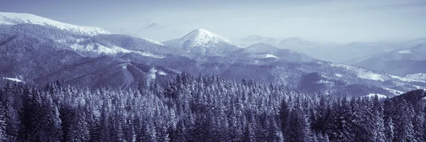 Winter natuur besneeuwde landschap-achtergrond. — Stockfoto