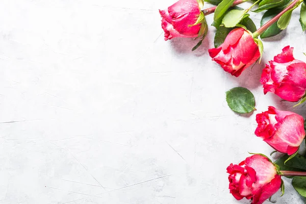 Rosa roja sobre tabla de piedra . — Foto de Stock