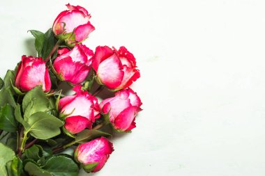 Gül çiçek arka plan. Üstten Görünüm.