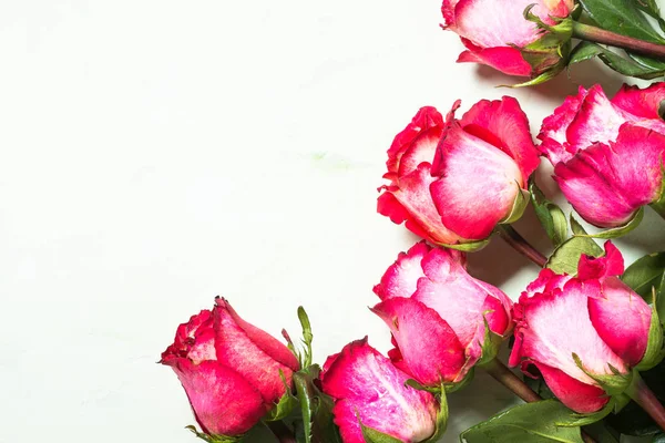 장미 꽃 배경입니다. 상위 뷰. — 스톡 사진
