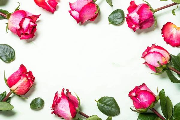 Rosa sfondo fiore. Vista dall'alto . — Foto Stock