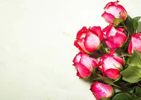 Růže květ pozadí. Pohled shora. — Stock fotografie