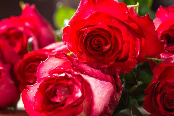 Röd ros blomma på träbord. — Stockfoto