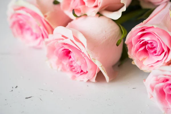 Pink rose at white stone table. — Stock Photo, Image