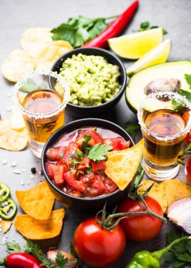 Casual yemek parti sos Guakamole, salsa, cips ve tequi