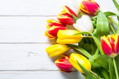 Lale Beyaz ahşap tablo. 