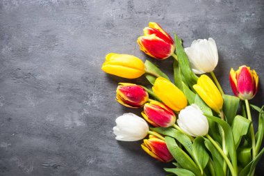 Lale taş masada. Çiçek arka plan.