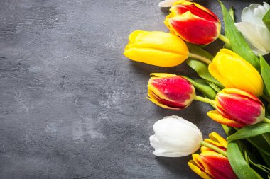 Lale taş masada. Çiçek arka plan.