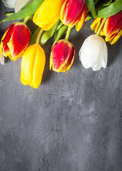 Тюльпаны на каменном столе. Цветочный фон . — стоковое фото