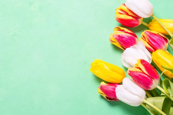 Bloem tulip achtergrond op groen. Bovenaanzicht kopie ruimte. — Stockfoto