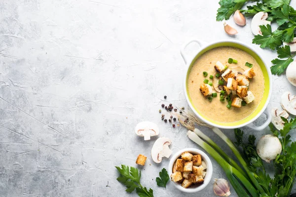 Mushroom Soup puree with croutons — Stock Image Mushroom Soup puree with croutons Stock Image
