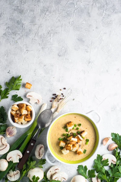 Mushroom Soup puree with croutons — Stock Image Mushroom Soup puree with croutons Stock Photo