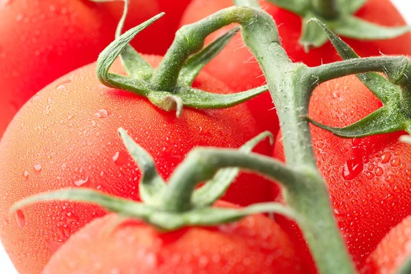 Виноградна лоза помідори крупним планом — стокове фото