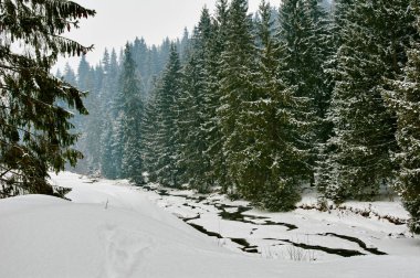 Nehirli kış manzarası