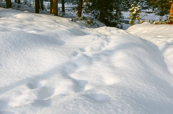 Impronte sulla neve — Foto Stock