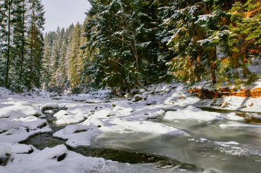 Kış nehir manzarası
