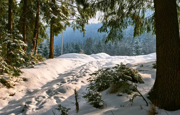 Sněhu krytá cesta — Stock fotografie