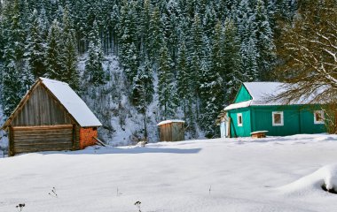 Döken ve karlı çam