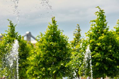 Çeşme sprey. Splash