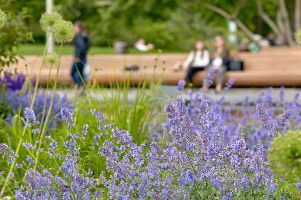 Flores en un parque de recreo — Foto de Stock