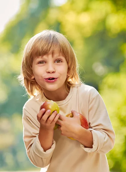 Funny Boy holding apples — Stock Photo, Image