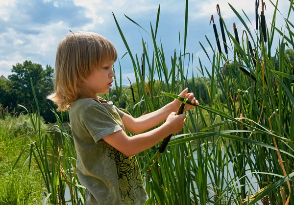 Kid i sommar — Stockfoto